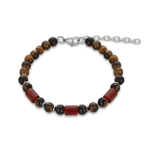 [DJ02B0002] Tiger Eye and Red Agate Accent Stainless Steel Bracelet