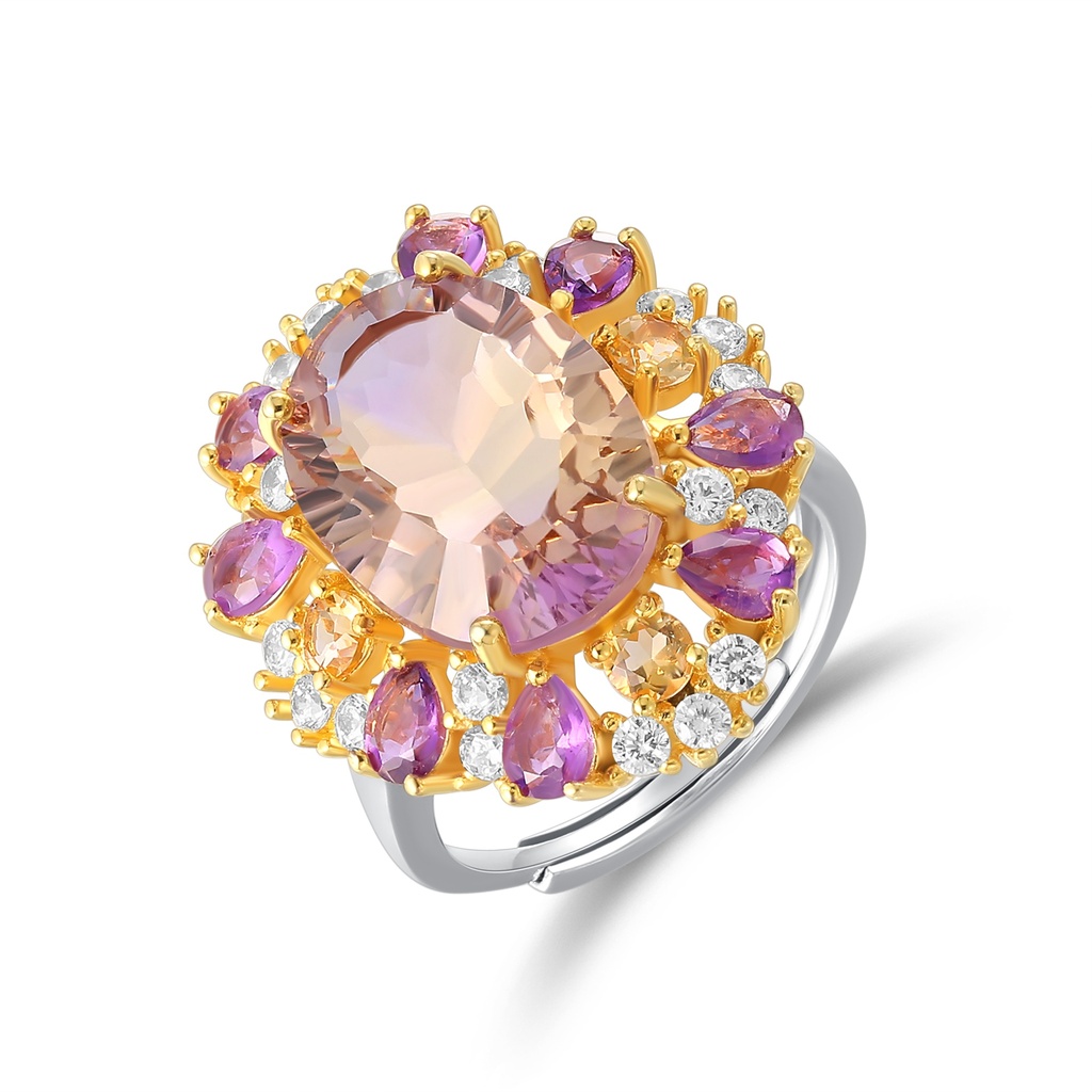 Gold and Silver Stainless Steel Ring with Multicolor Gemstone Halo