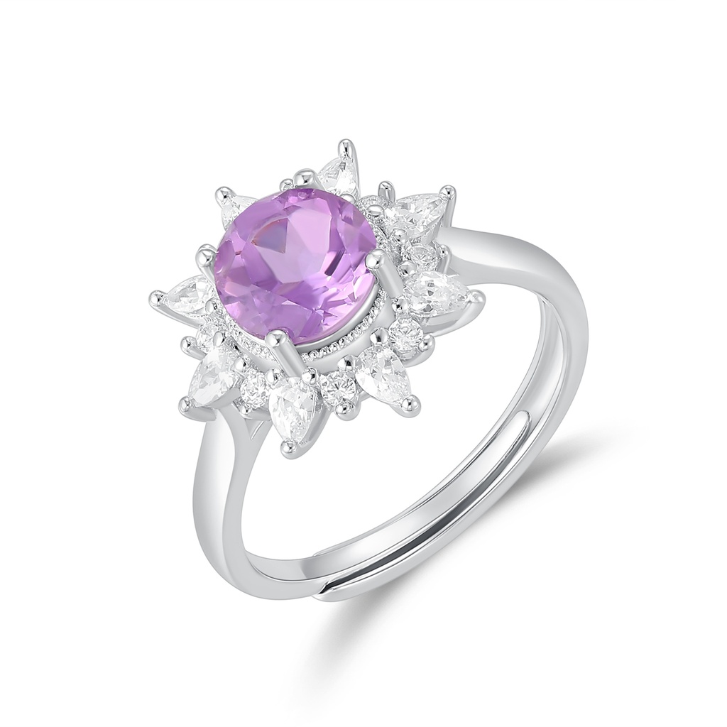 Silver Stainless Steel Ring with Purple Gemstone and Zircon Halo
