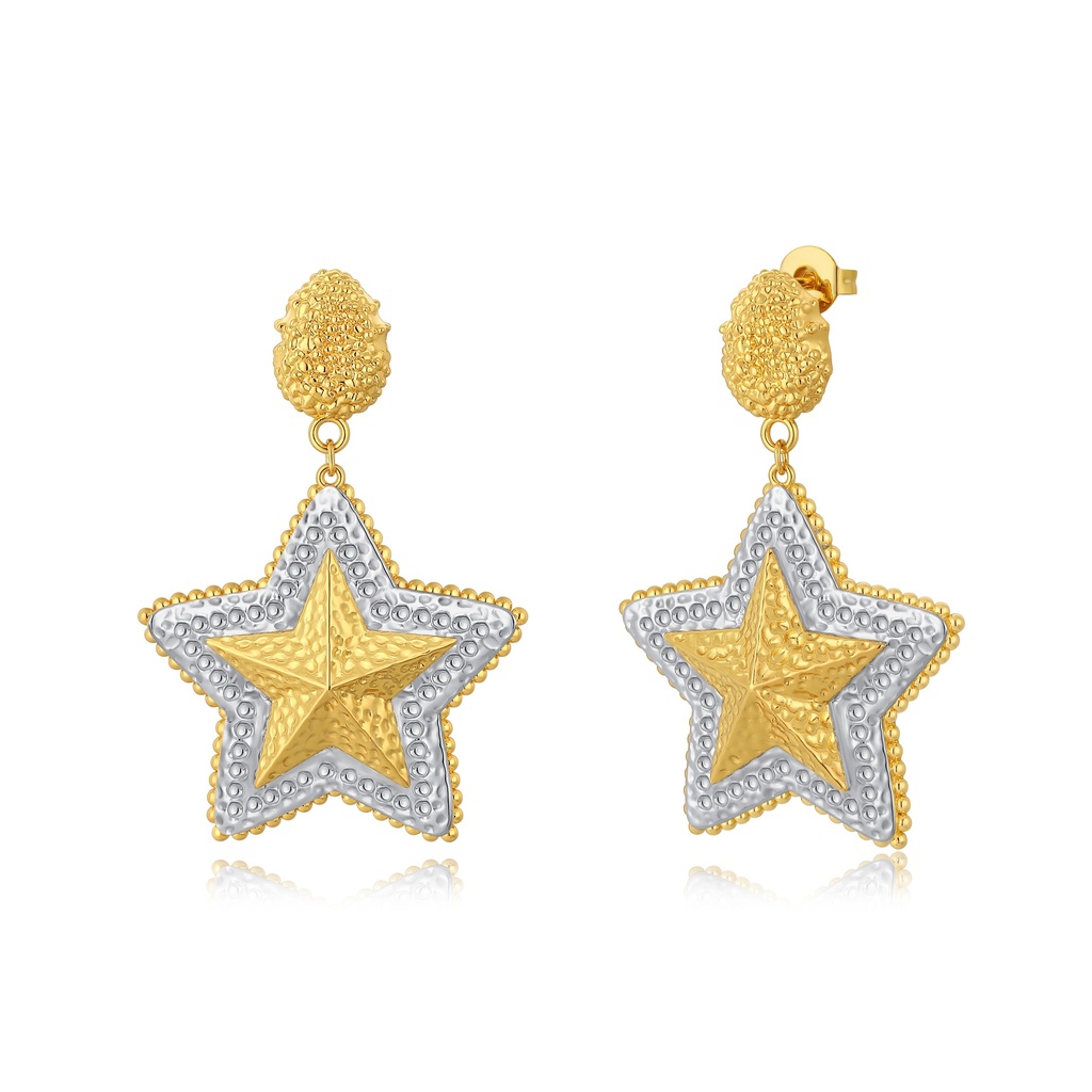 [PD02E0213] Two-Tone Textured Star Drop Earrings in Gold and Silver